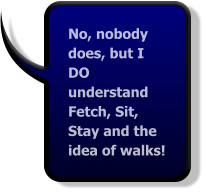 No, nobody does, but I DO understand Fetch, Sit, Stay and the idea of walks!