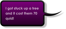 I got stuck up a tree and it cost them 70 quid!