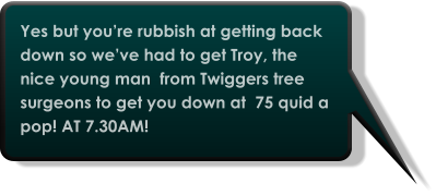 Yes but you’re rubbish at getting back down so we’ve had to get Troy, the nice young man  from Twiggers tree surgeons to get you down at  75 quid a  pop! AT 7.30AM!