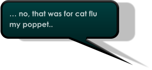 … no, that was for cat flu my poppet..