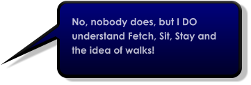 No, nobody does, but I DO understand Fetch, Sit, Stay and the idea of walks!