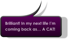 Brilliant! In my next life I’m coming back as… A CAT!