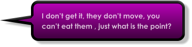 I don’t get it, they don’t move, you can’t eat them , just what is the point?