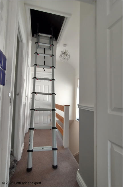 © 2026 LoftLadder expert